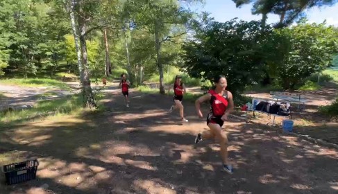 画像 -20250730-024051-e2fd52b8